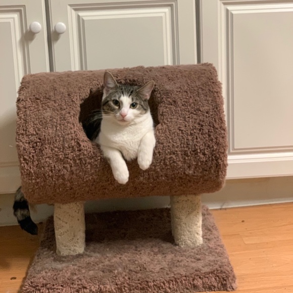 Meet your Posher, D - Picture 2 of 7